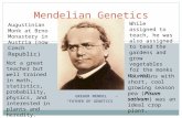 GREGOR MENDEL “FATHER OF GENETICS” Mendelian Genetics Augustinian Monk at Brno Monastery in Austria (now Czech Republic) Not a great teacher but well trained.