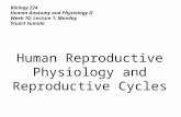 Biology 224 Human Anatomy and Physiology II Week 10; Lecture 1; Monday Stuart Sumida Human Reproductive Physiology and Reproductive Cycles.