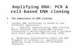 Amplifying DNA: PCR & cell- based DNA cloning 1.The importance of DNA cloning: Current DNA technology is based on two different approaches: a. Specific.