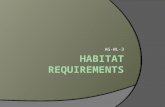 AG-WL-3. Activity  Choose 3 species from the next slide  Research the habitat and potential food sources for each species  Create 3 concept maps (from.