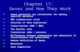 . Chapter 17: Genes and How They Work Genes generally are information for making specific proteins Genes generally are information for making specific.