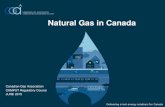 Natural Gas in Canada Canadian Gas Association CAMPUT Regulatory Course JUNE 2015.