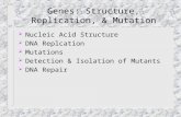 Genes: Structure, Replication, & Mutation  Nucleic Acid Structure  DNA Replcation  Mutations  Detection & Isolation of Mutants  DNA Repair.