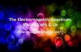 The Electromagnetic Spectrum, Visible Light & Us How do we see what we see??