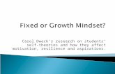 Carol Dweck’s research on students’ self- theories and how they affect motivation, resilience and aspirations.