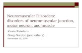 Neuromuscular Disorders: disorders of neuromuscular junction, motor neuron, and muscle Kasia Petelenz Greg Gordon (and others) November 15, 2005.