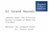 GI Grand Rounds Johanna Chan, PGY-5 Fellow Baylor College of Medicine 6/5/2014 Mentors: Dr. Kalpesh Patel Dr. Prasun Jalal.