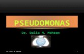 DR. DALIA M. MOHSEN 1 Dr. Dalia M. Mohsen PSEUDOMONAS.