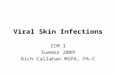 Viral Skin Infections ICM I Summer 2009 Rich Callahan MSPA, PA-C.