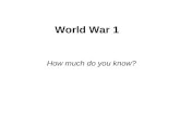 World War 1 How much do you know?. Watch video and check your answers  1nfriqtIU8&feature=related
