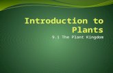 9.1 The Plant Kingdom. Key Concepts What characteristics do all plants share? What do plants need to live successfully on land? How do nonvascular plants.