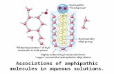 Associations of amphipathic molecules in aqueous solutions.