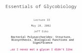 Essentials of Glycobiology Lecture 33 May 28, 2002 Jeff Esko Bacterial Polysaccharides: Structure, Biosynthesis, Biological Functions and Significance.