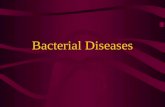 Bacterial Diseases. ESC and Columnaris These two bacterial diseases are the most common and most devastating bacterial problems in the commercial catfish.