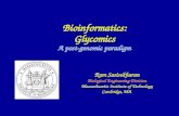 Ram Sasisekharan Biological Engineering Division Massachusetts Institute of Technology Cambridge, MA Bioinformatics: Glycomics A post-genomic paradigm.