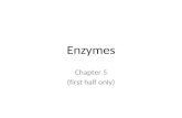 Enzymes Chapter 5 (first half only). 1. Types of Energy Energy – the capacity to perform work Its types: – Kinetic energy – Potential energy A form of.
