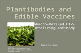 Tobacco-Derived HIV- Neutralizing Antibody . cfm?id=cancer-vaccine-tobacco-plants Mackenzie Owen.