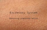 Excretory System Removing unwanted waste. Excretory System System involved in removing metabolic waste Waste removed as urine, sweat, carbon dioxide –
