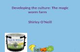1 Developing the culture: The magic worm farm Shirley O’Neill.