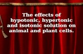The effects of hypotonic, hypertonic and isotonic solution on animal and plant cells.