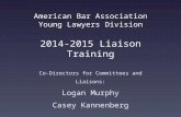 American Bar Association Young Lawyers Division 2014-2015 Liaison Training Co-Directors for Committees and Liaisons: Logan Murphy Casey Kannenberg.