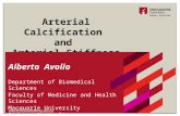 Arterial Calcification and Arterial Stiffness Alberto Avolio Department of Biomedical Sciences Faculty of Medicine and Health Sciences Macquarie University.