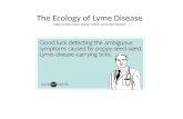 The Ecology of Lyme Disease oaks, moths, mice, gypsy moths, and lyme disease.
