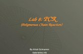 Lab 8: PCR (Polymerase Chain Reaction) Lab 8: PCR (Polymerase Chain Reaction) By Kristi Schramm Gabrielino HS.