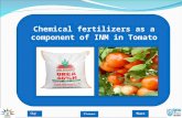 Chemical fertilizers as a component of INM in Tomato.