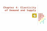 Chapter 4: Elasticity of Demand and Supply. Copyright  2007 by The McGraw-Hill Companies, Inc. All rights reserved. McGraw-Hill/Irwin Price Elasticity.