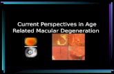 Current Perspectives in Age Related Macular Degeneration.