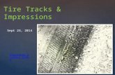 Tire Tracks & Impressions Sept 23, 2014 Discovery Science Video.
