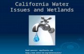 California Water Issues and Wetlands Good sources: aquifornia.com .
