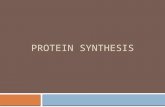 PROTEIN SYNTHESIS. DNA RNA Protein Scientists call this the: Central Dogma of Biology!