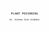 PLANT POISONING Dr. Hisham Zein Alabdin. POISONOUS PLANTS  The active principles in most of these plants are alkaloids but glycosides (digitales) and.