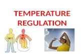 TEMPERATURE REGULATION. An Overview of Heat Balance Humans are homeotherms – Maintain constant body core temperature – Heat loss must match heat gain.