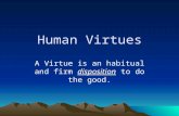 Human Virtues A Virtue is an habitual and firm disposition to do the good.
