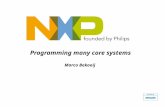 Programming many core systems Marco Bekooij. Outline Definition many core systems Application domain of many core systems Microsoft Parallel Computing.