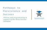 Pathways to Persistence and Success Policies and programming in support of the Texas Success Initiative.