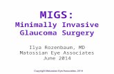 MIGS: Minimally Invasive Glaucoma Surgery Ilya Rozenbaum, MD Matossian Eye Associates June 2014.