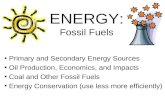 ENERGY: Fossil Fuels Primary and Secondary Energy Sources Oil Production, Economics, and Impacts Coal and Other Fossil Fuels Energy Conservation (use less.