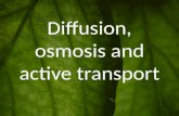 Diffusion, osmosis and active transport. INDEX Diffusion “Test yourself!” – Diffusion Osmosis Osmosis in cells Video – Diffusion and osmosis activity.