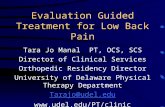 Evaluation Guided Treatment for Low Back Pain Tara Jo Manal PT, OCS, SCS Director of Clinical Services Orthopedic Residency Director University of Delaware.