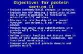 Objectives for protein section II Explain conformational changes in proteins. Explain how GTP binding & hydrolysis allows ras & other G-proteins to function.