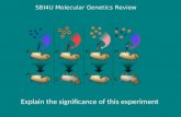 SBI4U Molecular Genetics Review Explain the significance of this experiment.