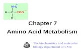 Chapter 7 Amino Acid Metabolism The biochemistry and molecular biology department of CMU.