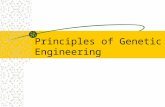 Principles of Genetic Engineering. What is genetic engineering Genetic engineering, also known as recombinant DNA technology, means altering the genes.