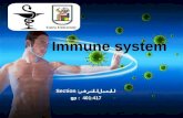 Section : المعمل الشرقي gp : 401:417. Introduction *the immune system is a system of biological structures And processes within an organism that protects.