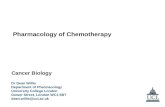 Dr Dean Willis Department of Pharmacology University College London Gower Street, London WC1 6BT dean.willis@ucl.ac.uk Pharmacology of Chemotherapy Cancer.