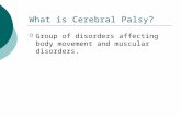 What is Cerebral Palsy?  Group of disorders affecting body movement and muscular disorders.